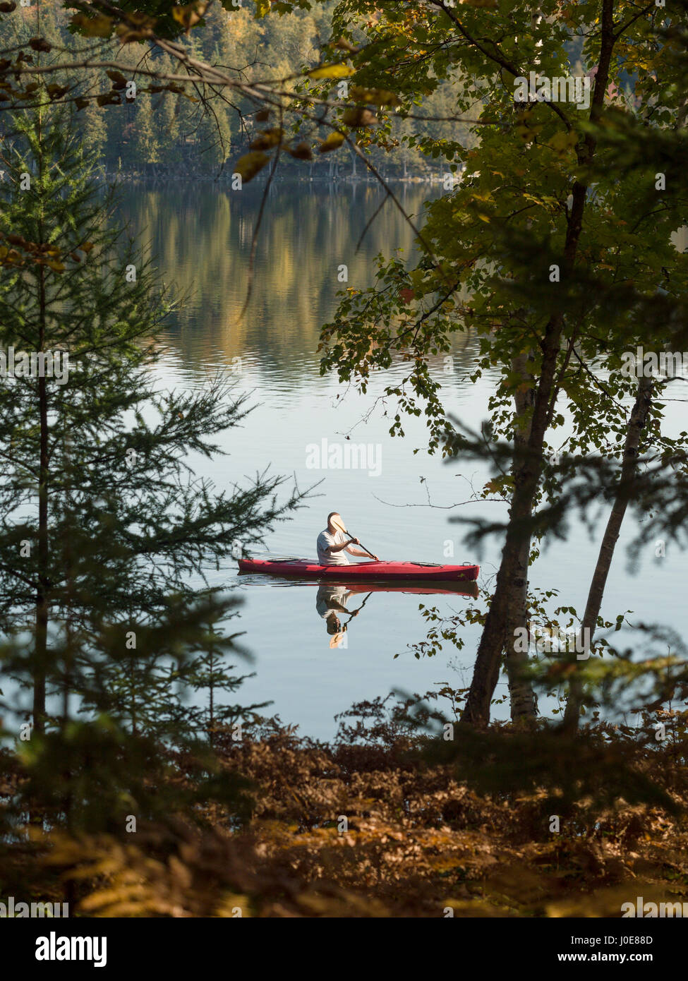 Quiet Morning Paddle on a Calm Lake. A man, his face obscured by his paddle, in a small red kayak paddles close to the wooded shore on a glassy lake.  Stock Photo