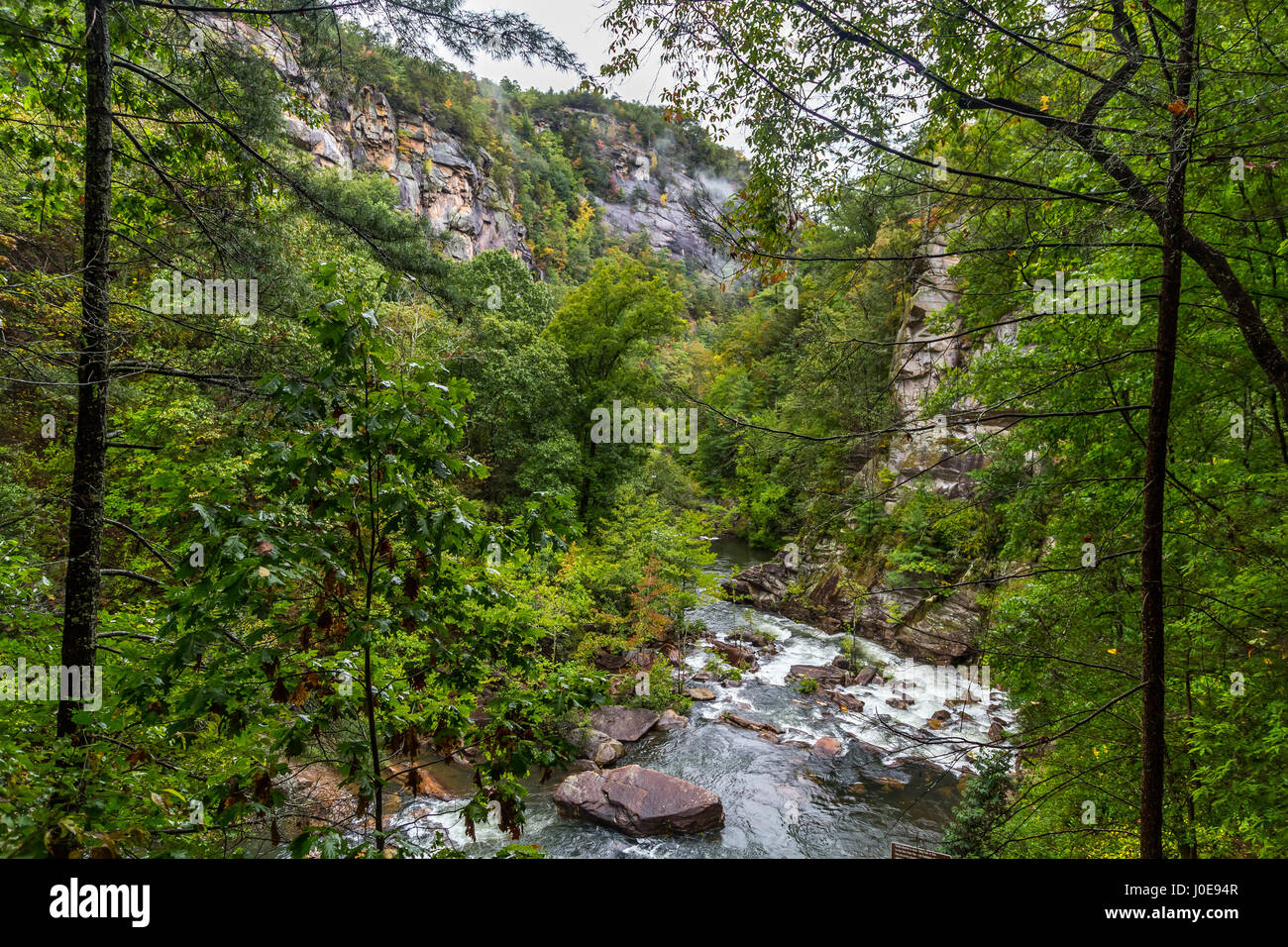 Tallulah hires stock photography and images Alamy