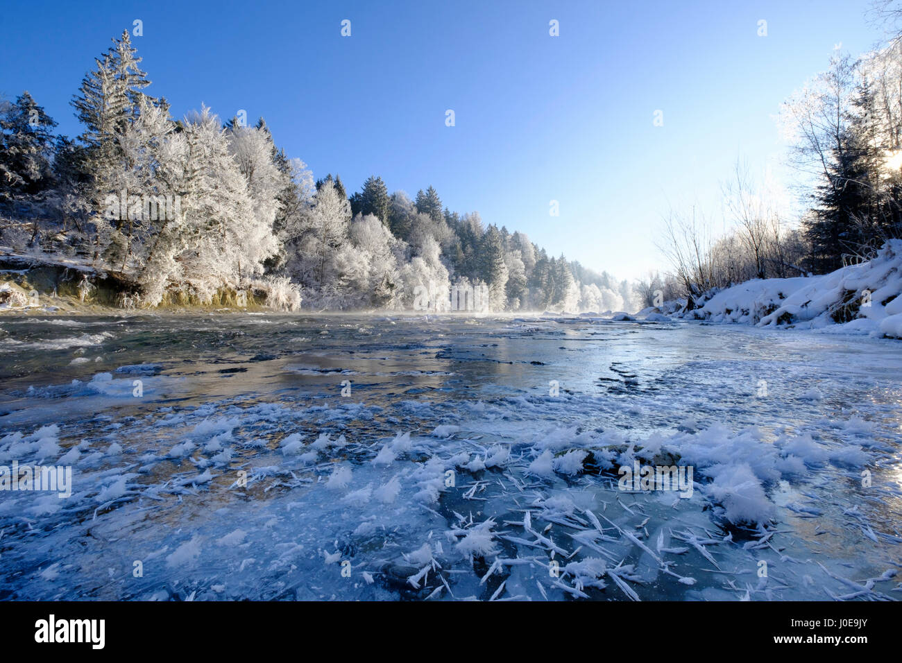 Icy river bank, hoarfrost on trees, Isar, nature reserve Isarauen, Geretsried, Upper Bavaria, Bavaria, Germany Stock Photo