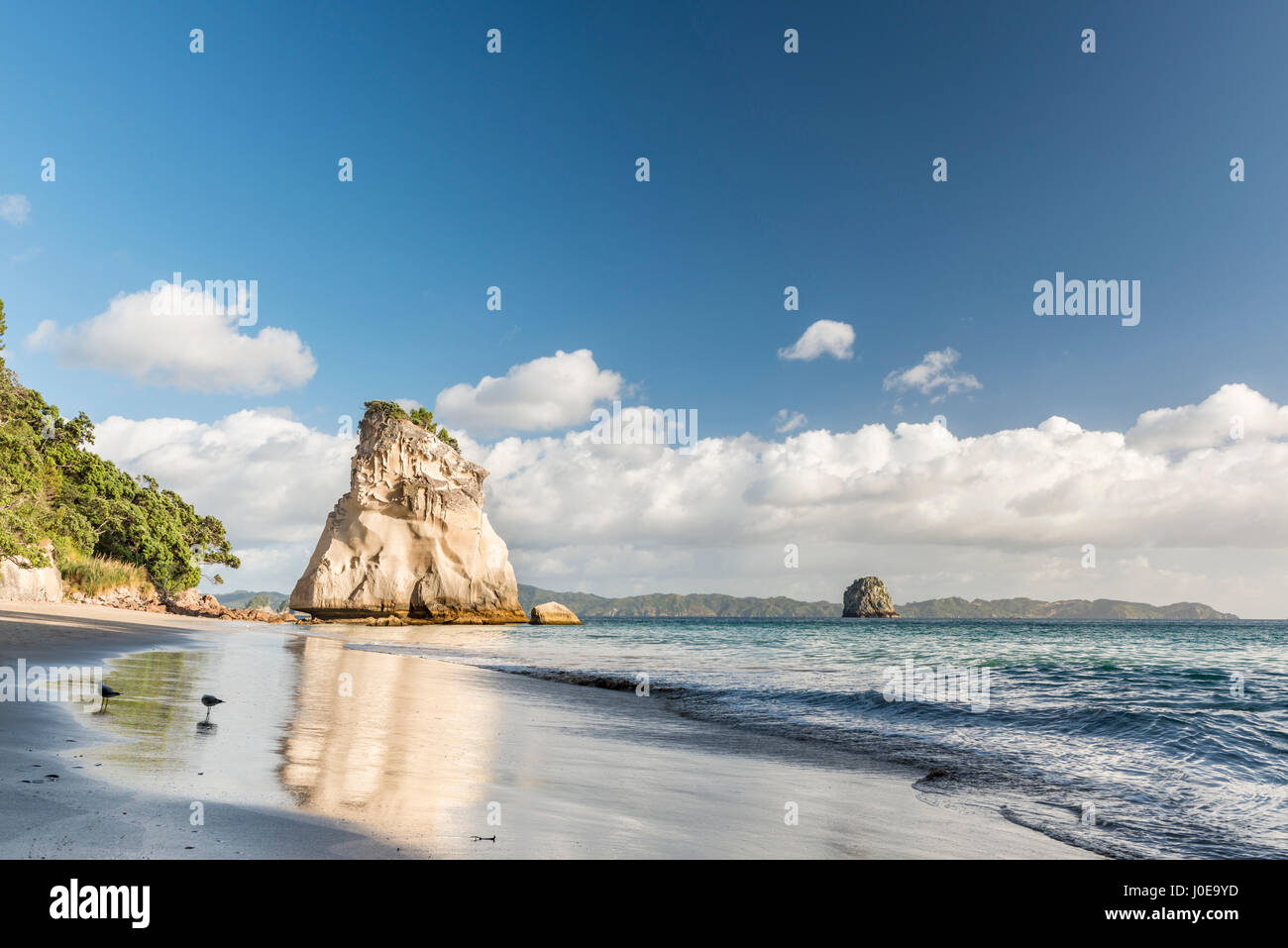 Beach at Cathedral Cove, Mercury Bay, Coromandel Peninsula, North