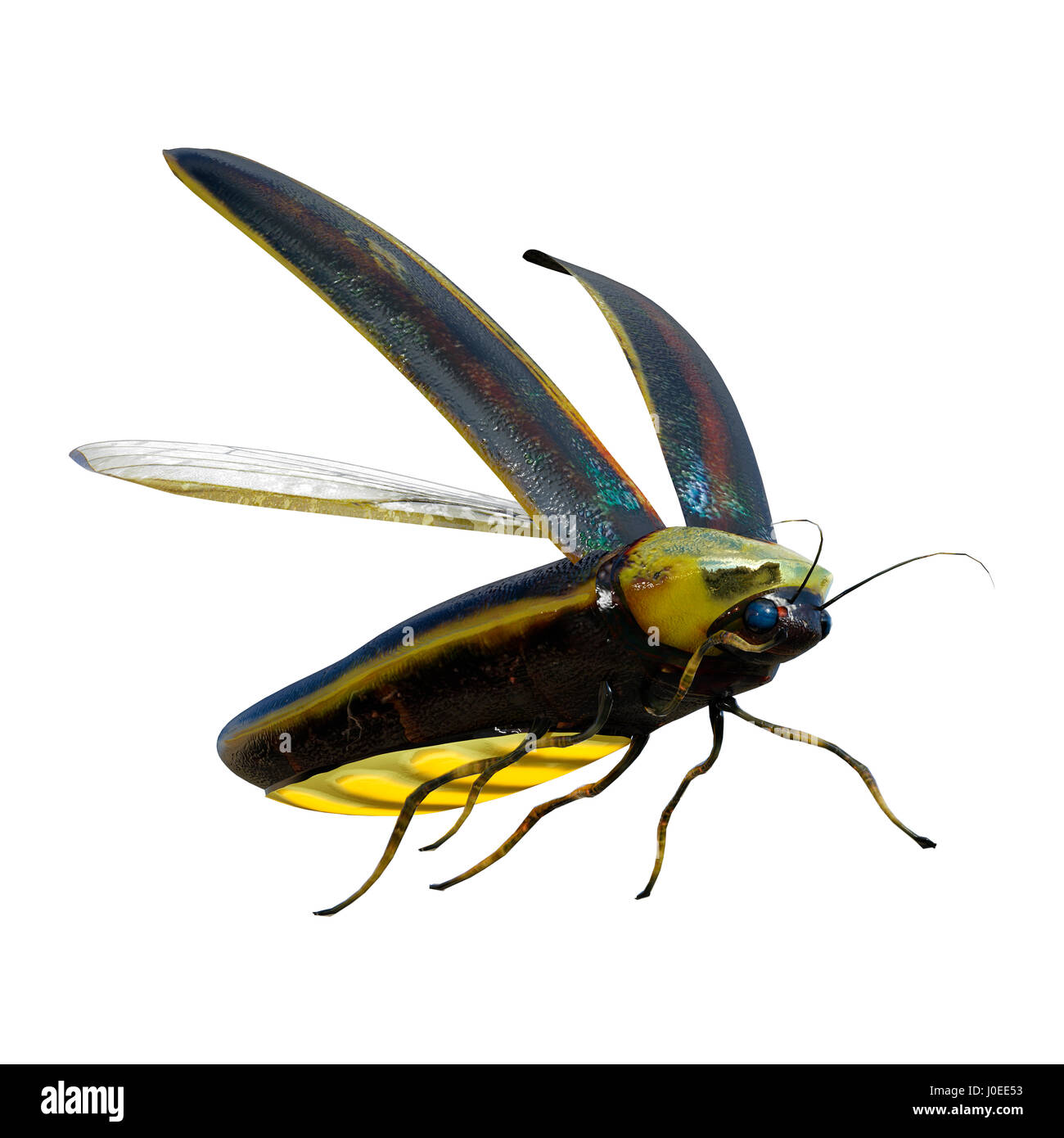 3D rendering of a lightning bug isolated on white background Stock ...