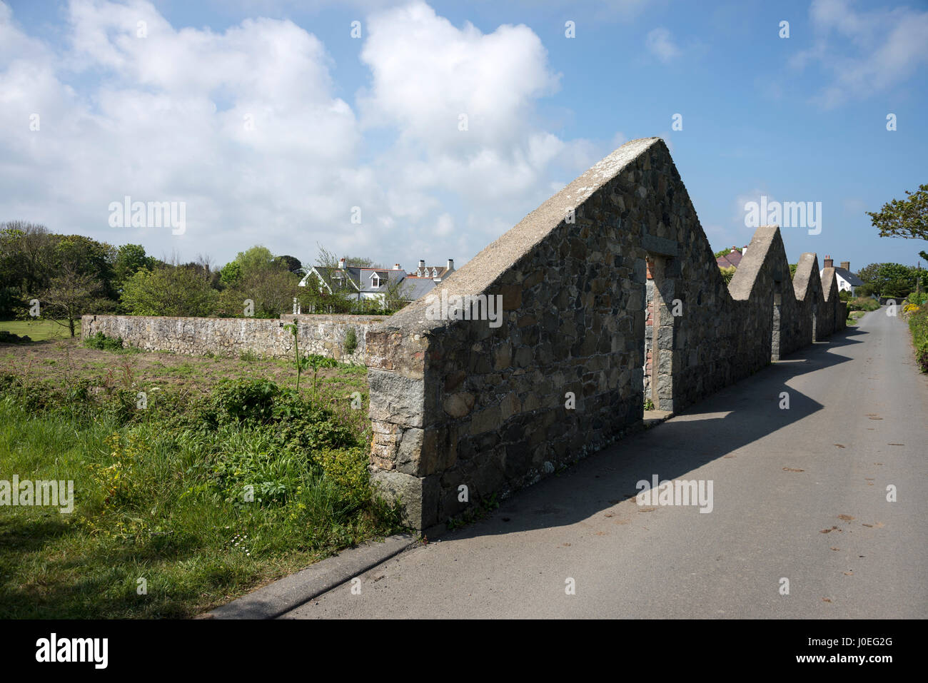 The remains of one of the larger tomato greenhouse farms in the north