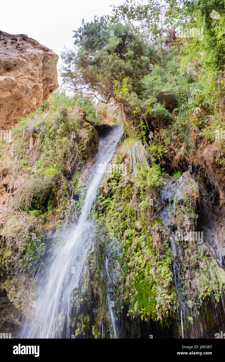 Waterfall at Ein Gedi (Israel) Stock Photo