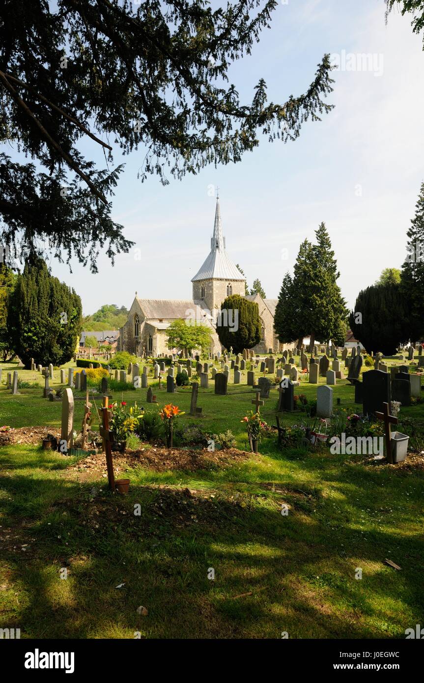 St Helens Church, Wheathampstead, Hertfordshire, stands at the centre of the village in an unusually  large churchyard. Stock Photo