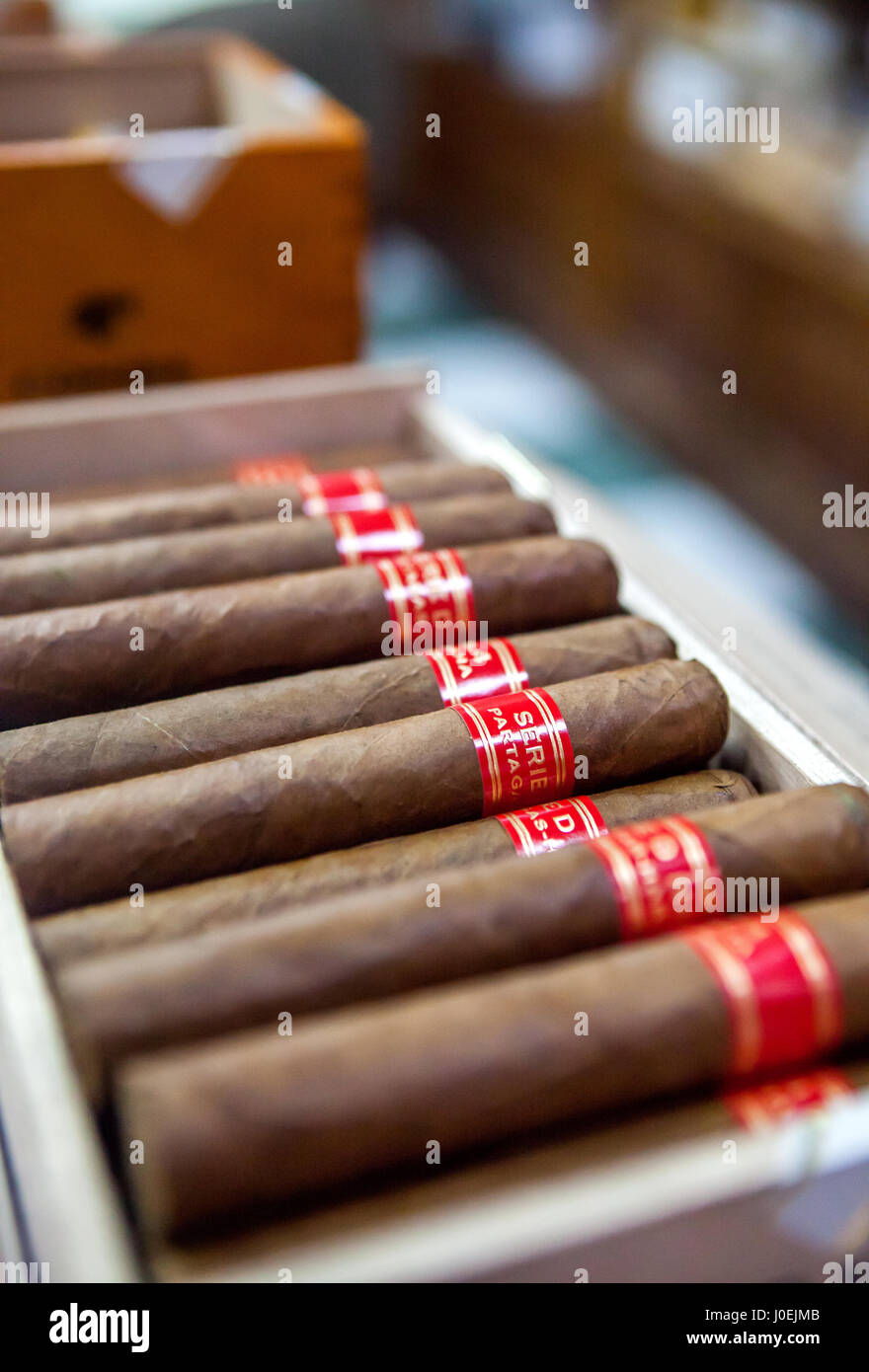 Cuban Cigars Stock Photos &amp; Cuban Cigars Stock Images - Alamy