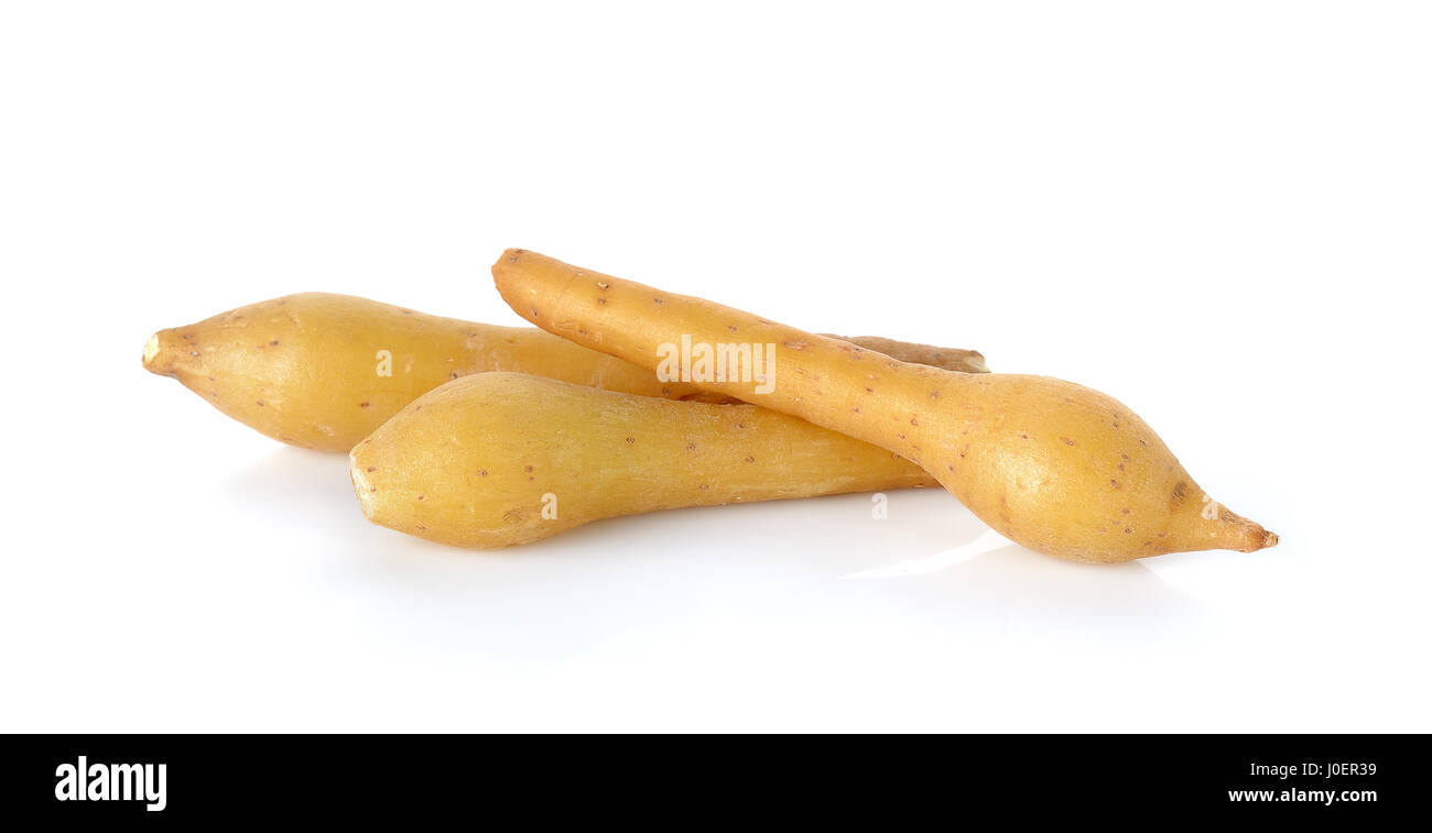 Fingerroot isolated on the white background Stock Photo - Alamy
