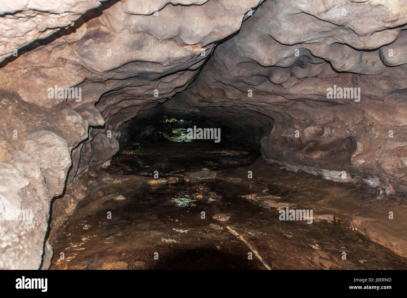 Treasure Trail continues in Monster's Lair at Mawsmai caves, Meghalaya -  Thrilling Travel