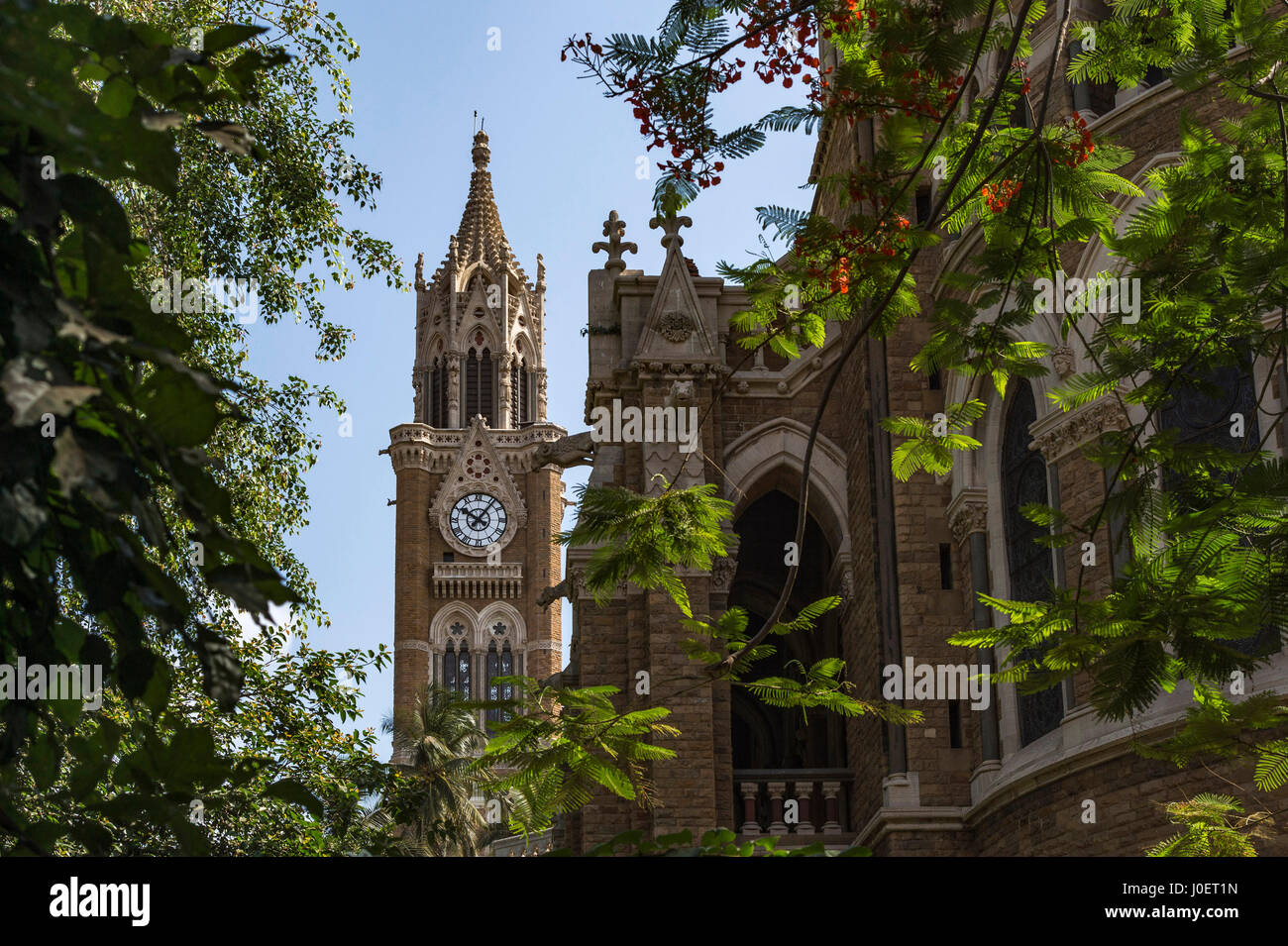 Rajabai clock tower, Bombay University convocation hall, mumbai, maharashtra, india, asia Stock Photo