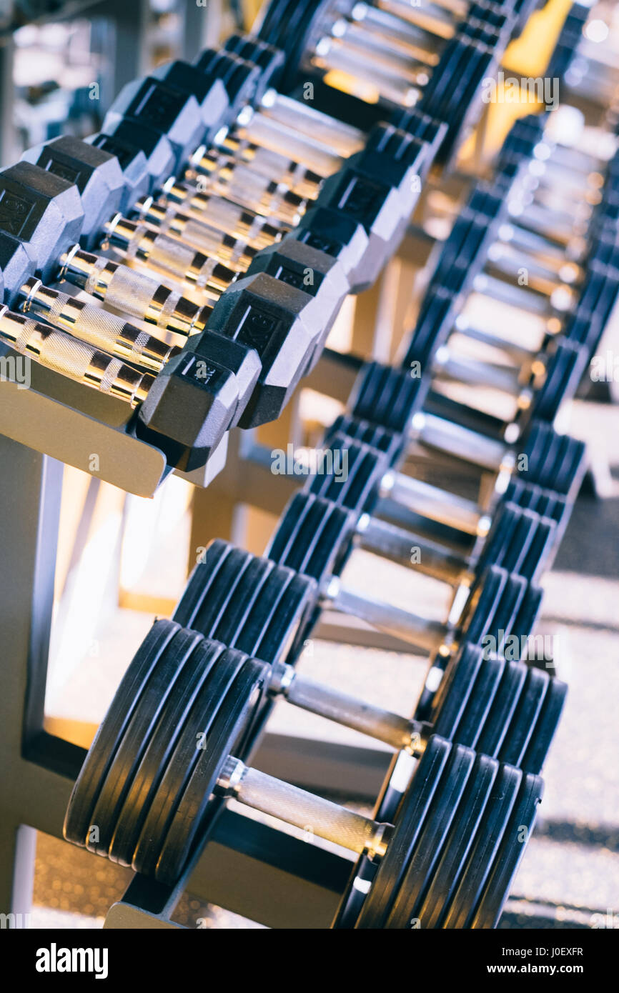 Dumbbelle weights equipment in a row at the gym Stock Photo