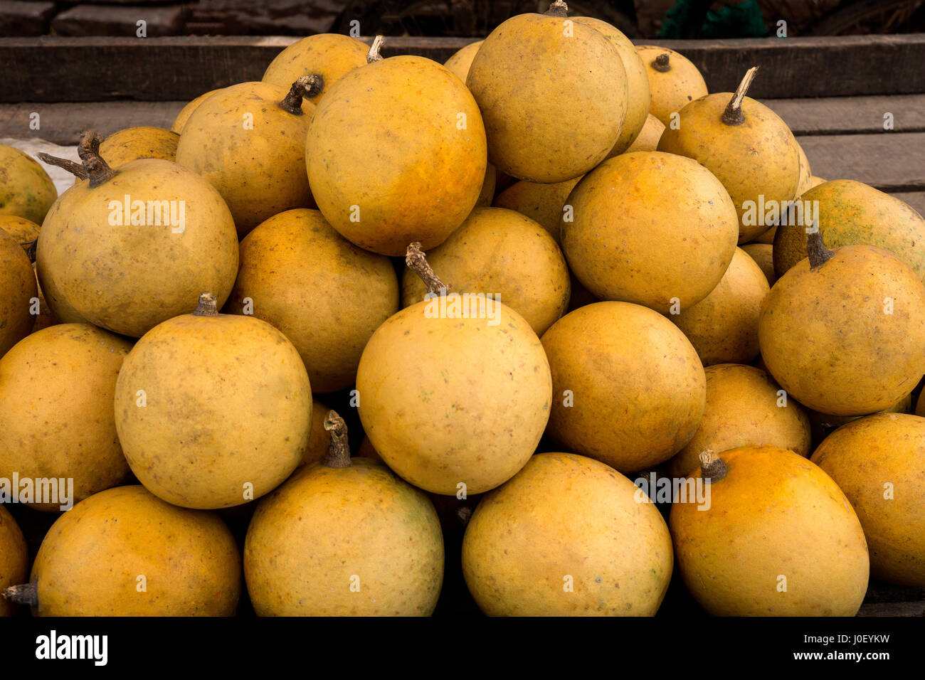 Bael fruit hi-res stock photography and images - Alamy