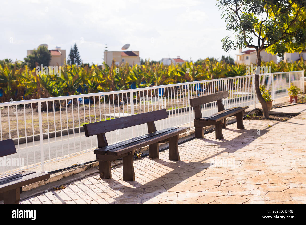 Wooden benches in the city park Stock Photo - Alamy