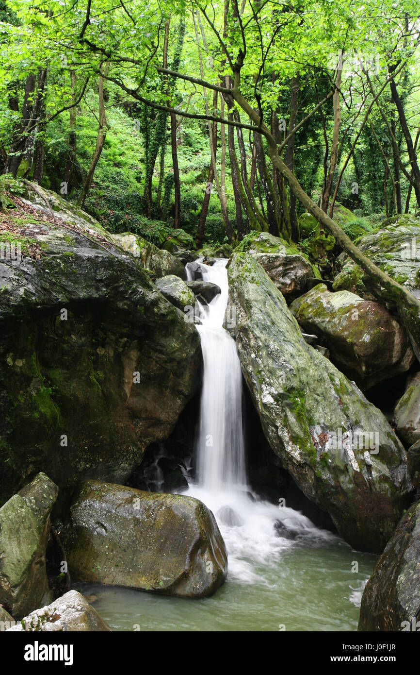 Landscape of a waterfall Stock Photo - Alamy