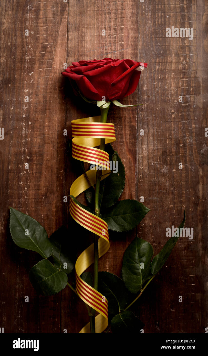 a red rose and a catalan flag on a rustic wooden surface for Sant Jordi ...