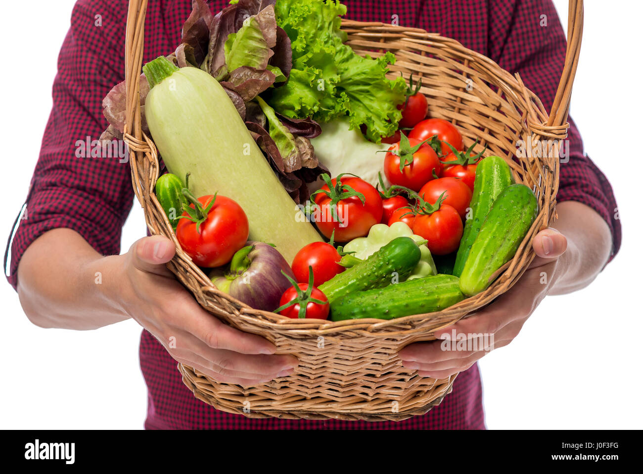 Ripe vegetables in a basket close-up in the hands of a farmer on a ...