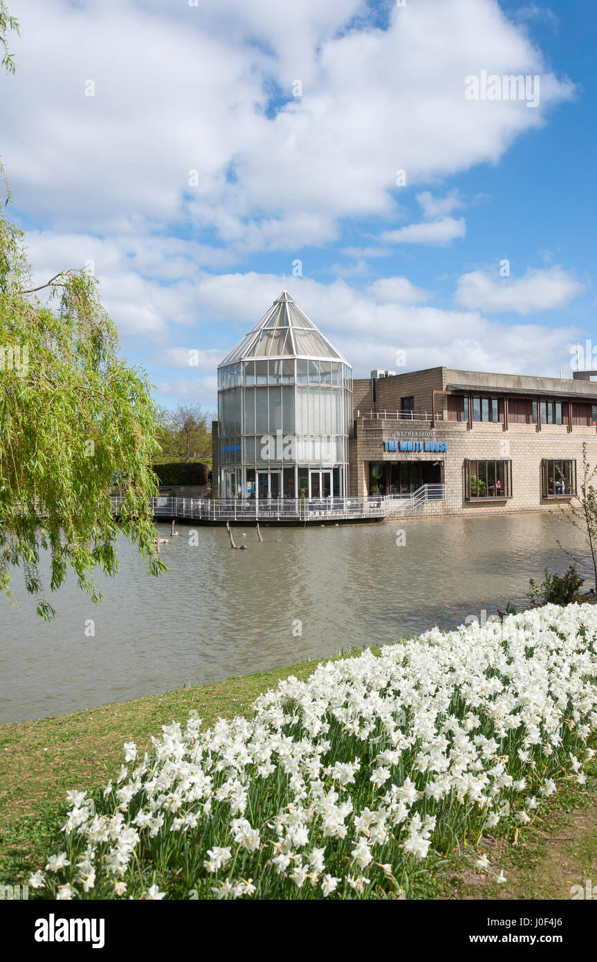 Stockley park hayes, hillingdon hires stock photography and images Alamy