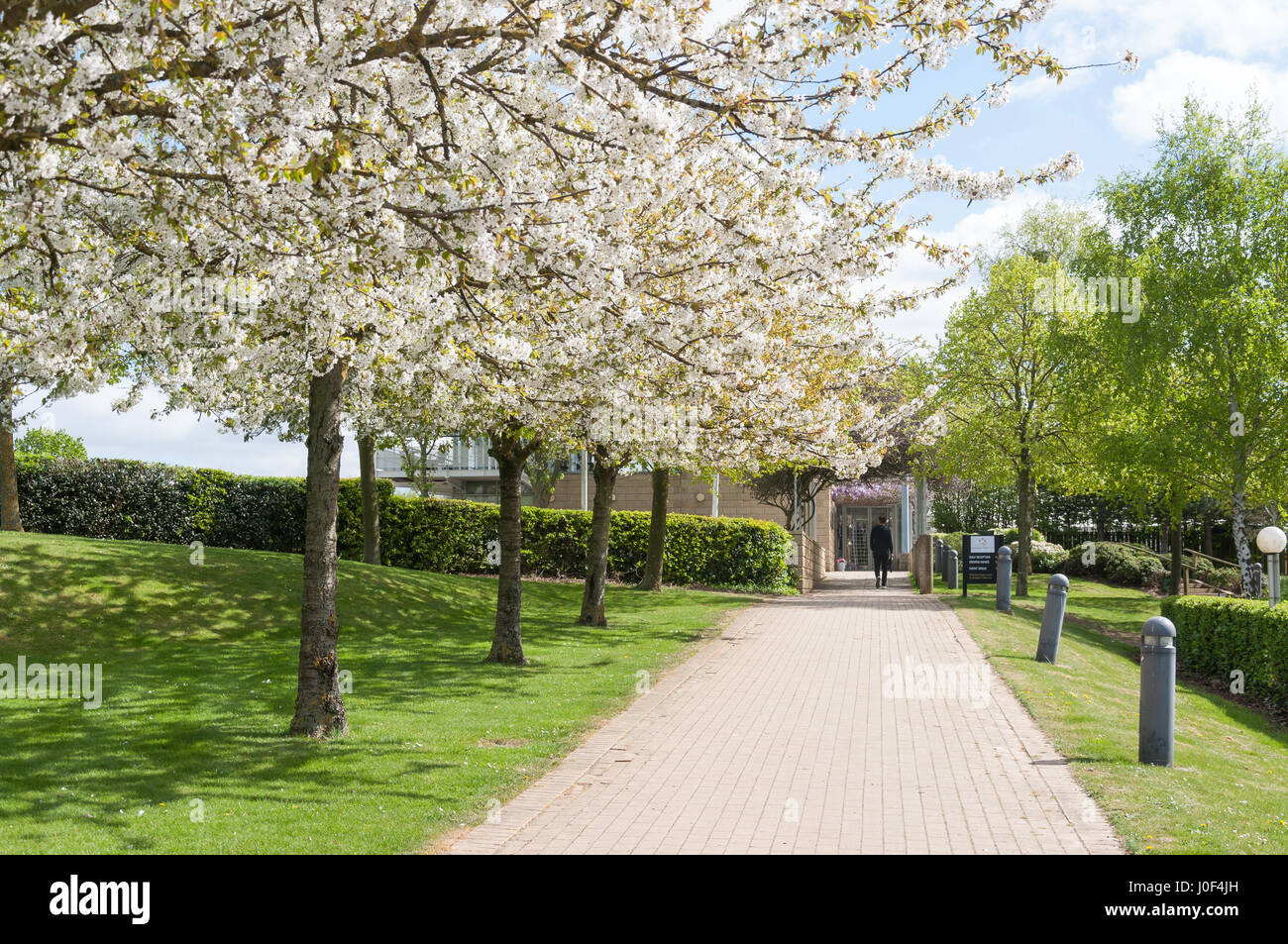 Stockley park hayes, hillingdon hires stock photography and images Alamy