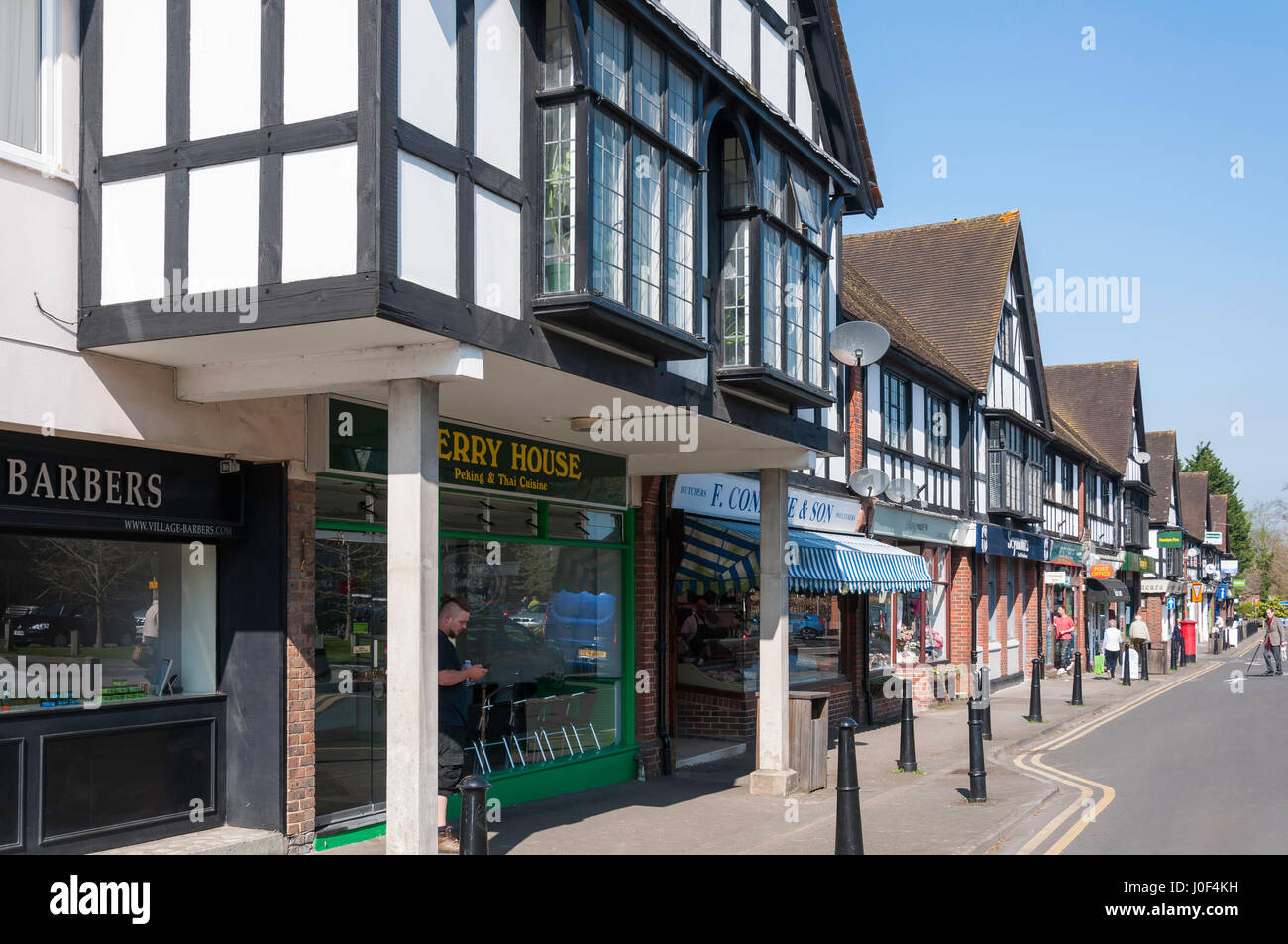 ockham houses for sale ockham houses for sale
