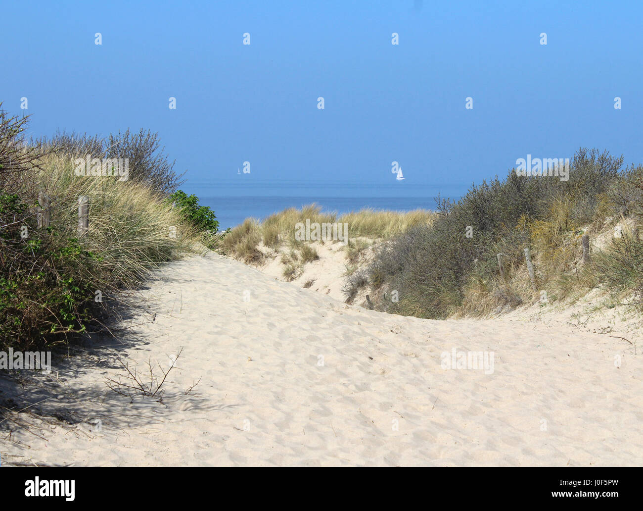 Pathway through the sand dunes heading towards the beach at Cadzand Bad in Zeeuws-Vlaanderen in the far south west of the Netherlands. Stock Photo