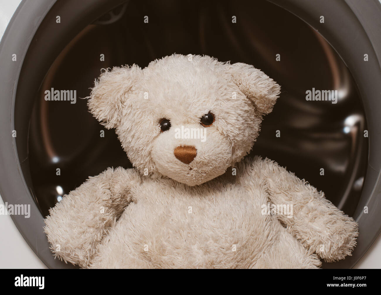Plush bear sitting on washing machine Stock Photo Alamy