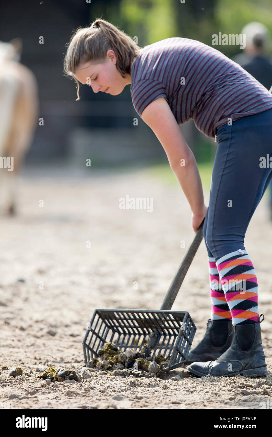 Ungulate droppings hires stock photography and images Alamy