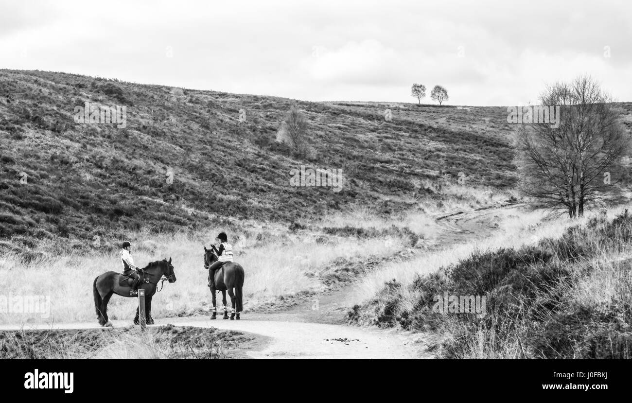 Two riders on Cannock Chase making the most of a spring day Stock Photo