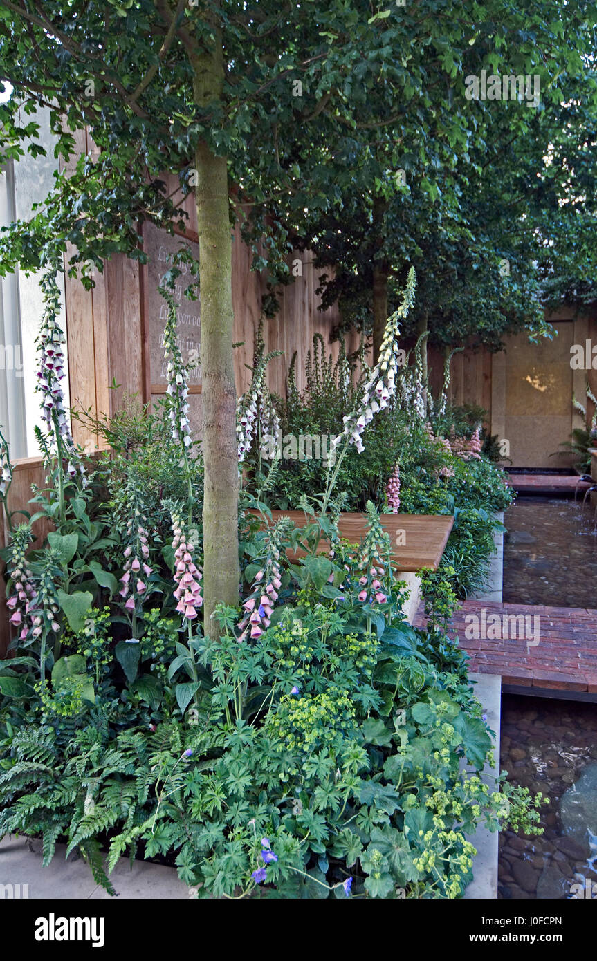 A small urban courtyard garden with a water feature Stock Photo