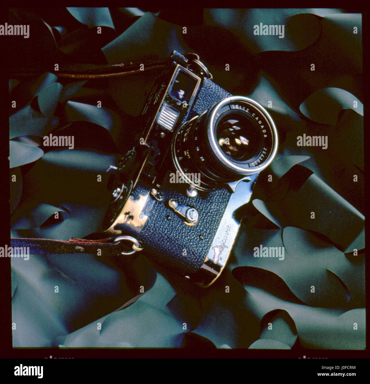 Leica camera 1950's hi-res stock photography and images - Alamy Leica camera 1950's hi-res stock photography and images - Alamy