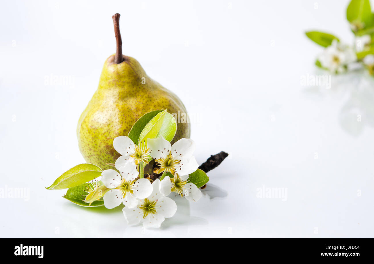 Organic pear  fruit and tree blossom isolated on white Stock Photo