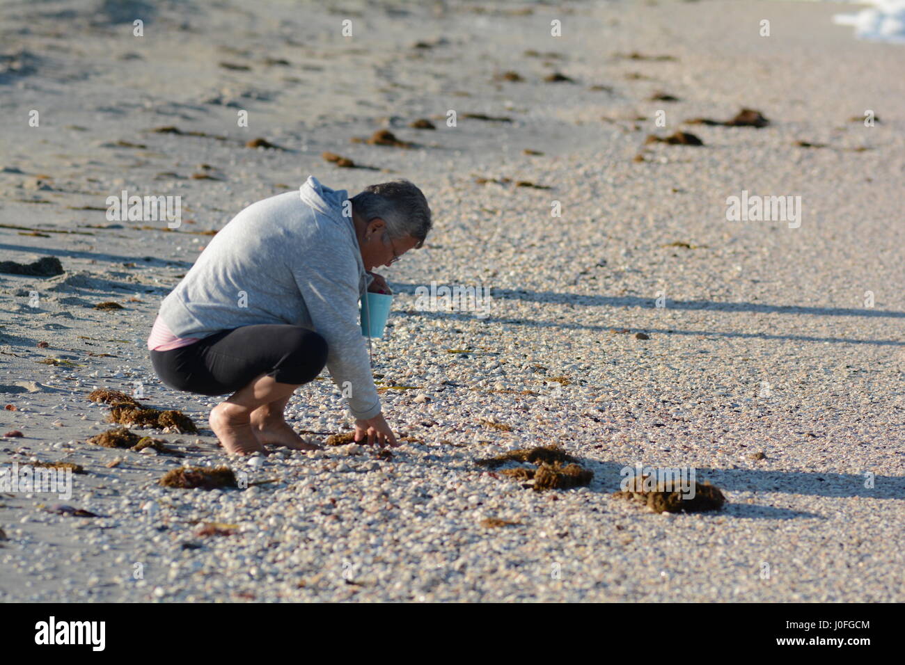 lady bending down looking for shells at the beach Stock Photo