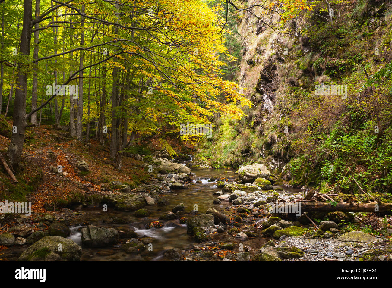 Scene at a river hi-res stock photography and images - Alamy