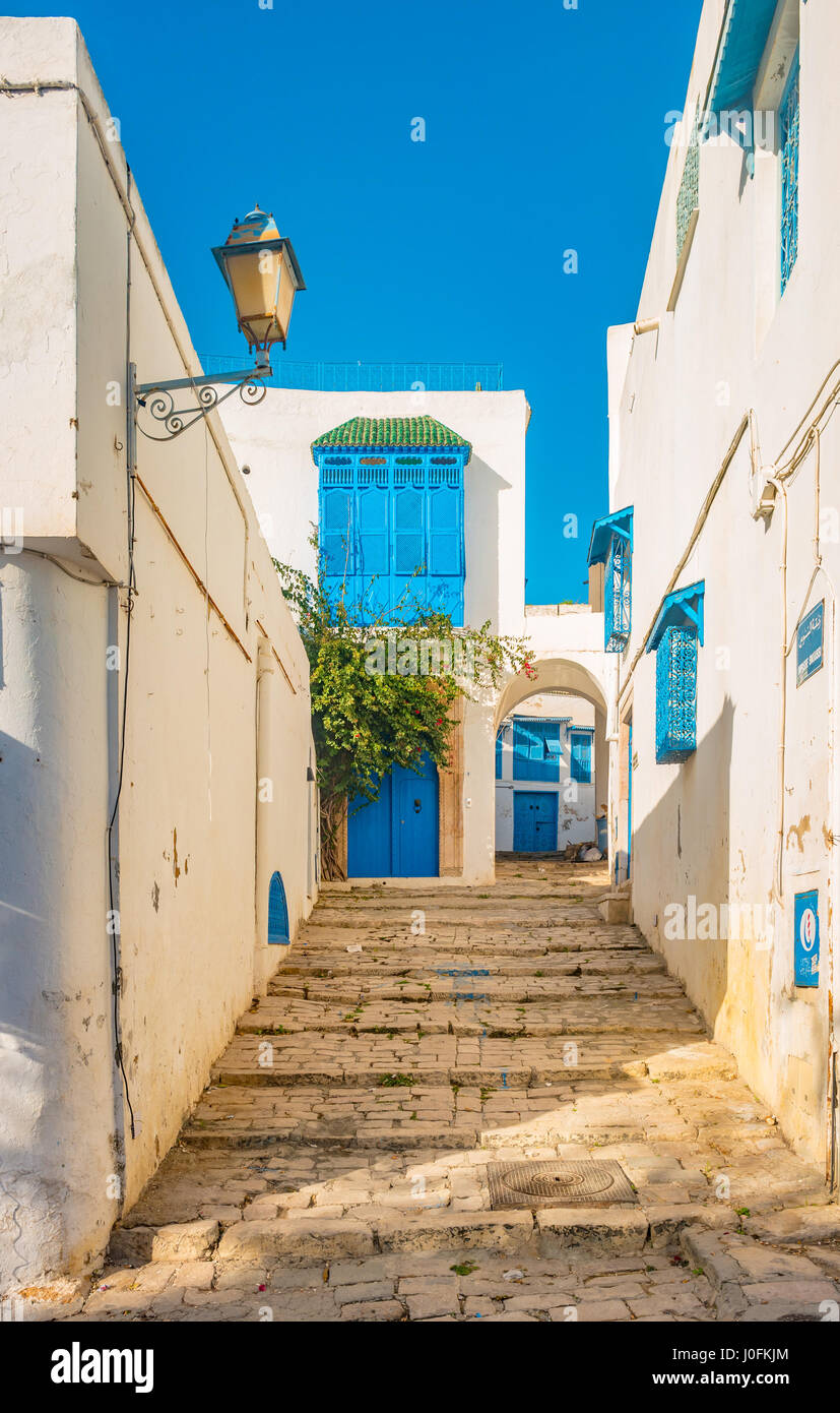 Sidi Bou Said, famouse village with traditional tunisian architecture