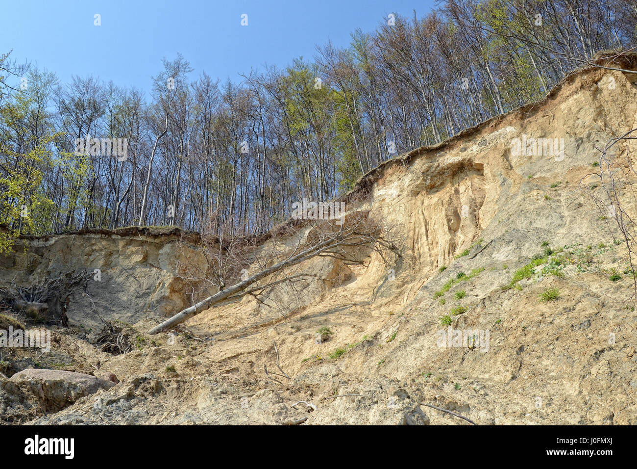chalk cliff rock erosion on Rugen Isle (Germany Stock Photo Alamy