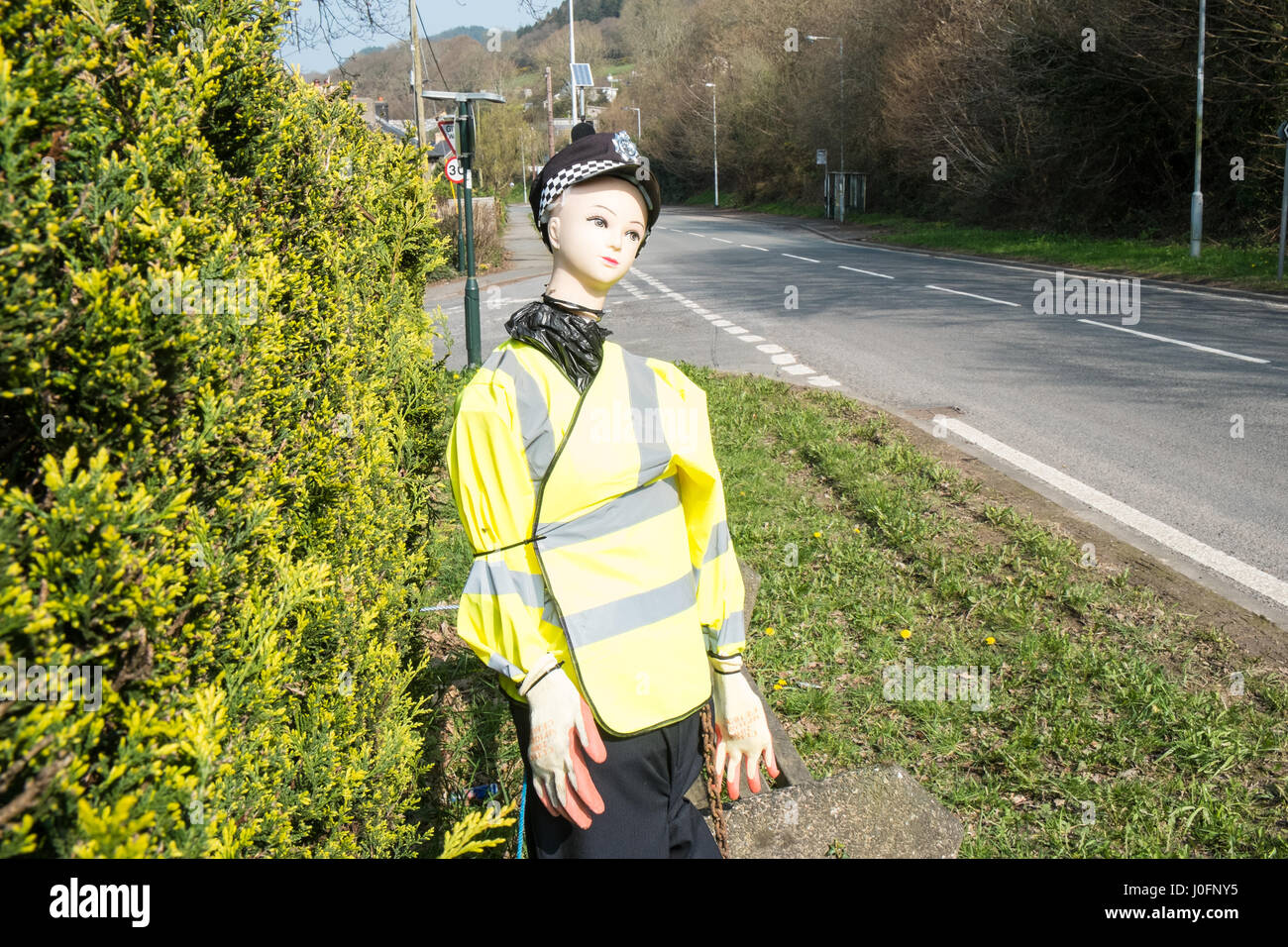 Fake, female,woman,police,officer,doll,mannequin,in,village,of,Tre Taliesin,to,encourage,motorists,drivers,to,slow,down,onA487,road,Ceredigion,Wales, Stock Photo