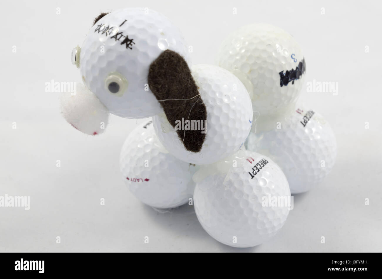 Golf ball dog Stock Photo Alamy