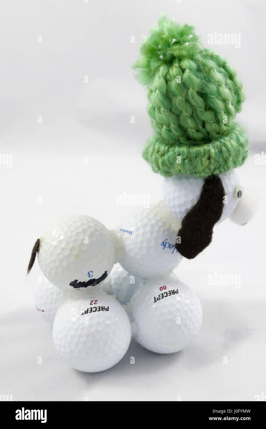 Golf ball dog Stock Photo Alamy