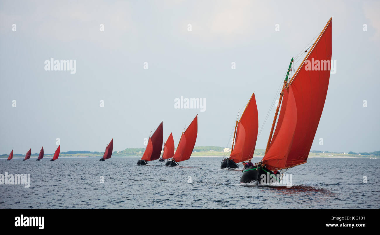 Traditional wooden boat Galway Hooker, with red sail, compete in regatta. Ireland. Stock Photo