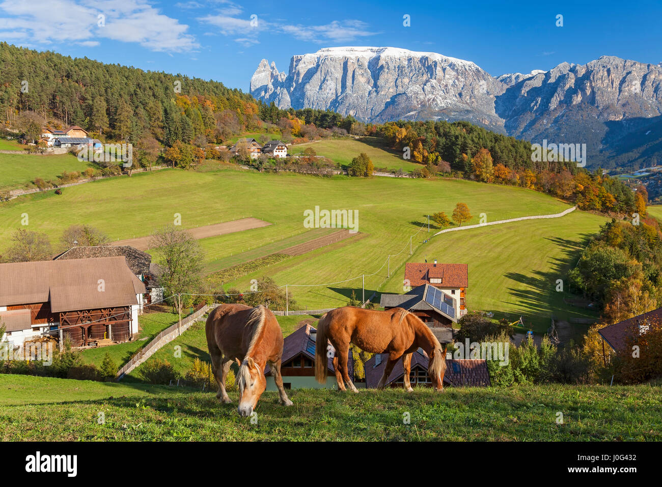 Valley & Dolomites nr Bolzano, Trentino-Alto Adige/Sudtirol, Italy Stock Photo