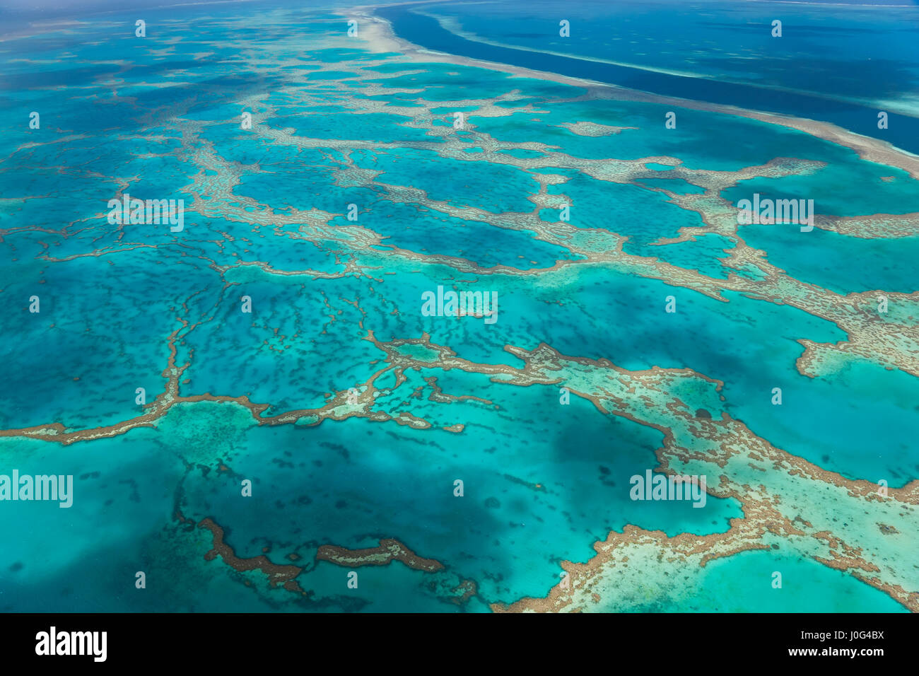 Great Barrier Reef, Queensland, Australia Stock Photo - Alamy