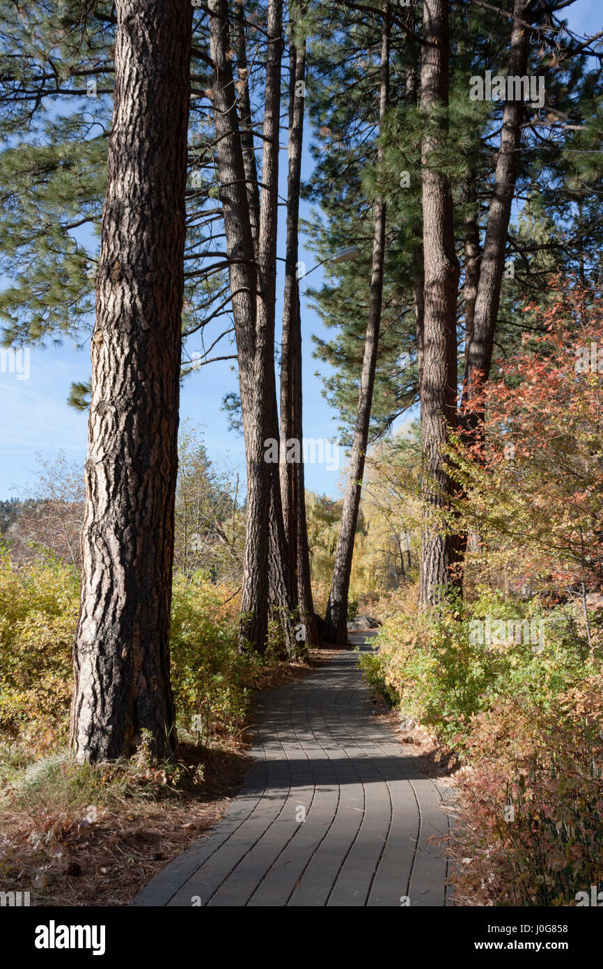This stone pathways skirts the Deschutes River in Bend, Oregon. Here it is in all its fall