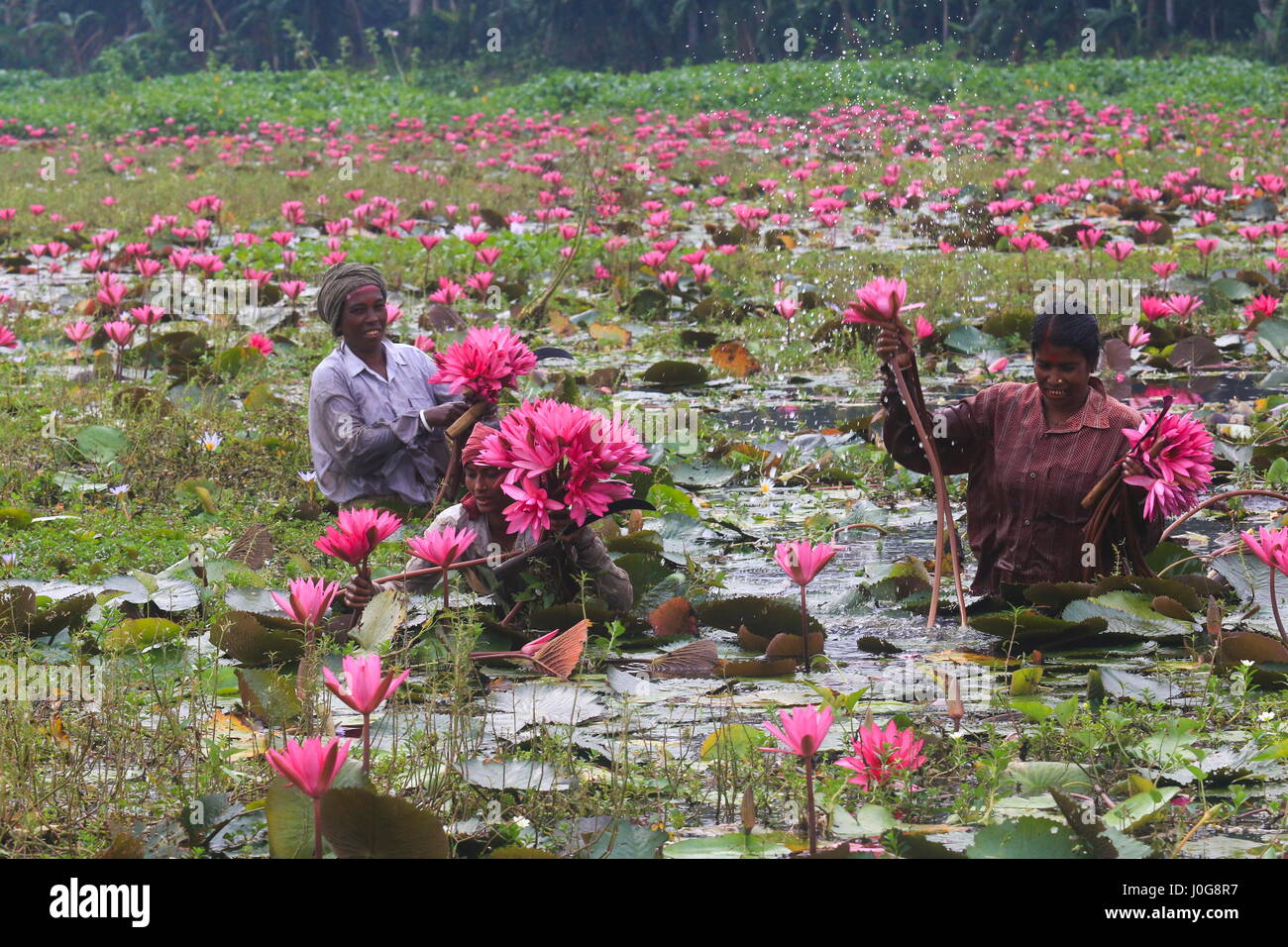 Киевте секс іздеп жүрген қыздар Жігіттің орнына киска бар