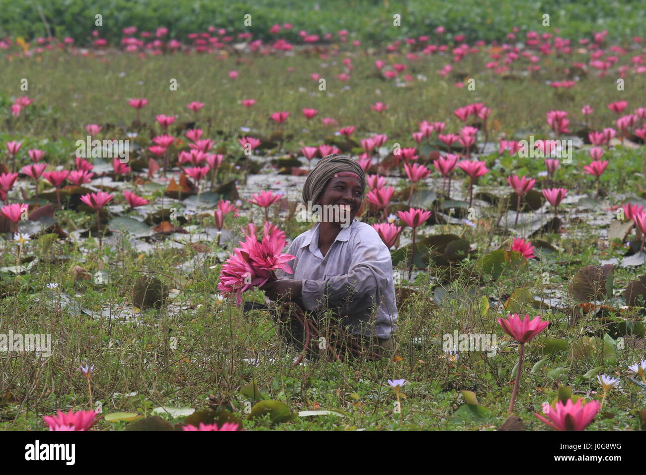 Жағажайдағы секс аңшылары Хейли веб-камерадағы порнографиялық бейнені бұзды