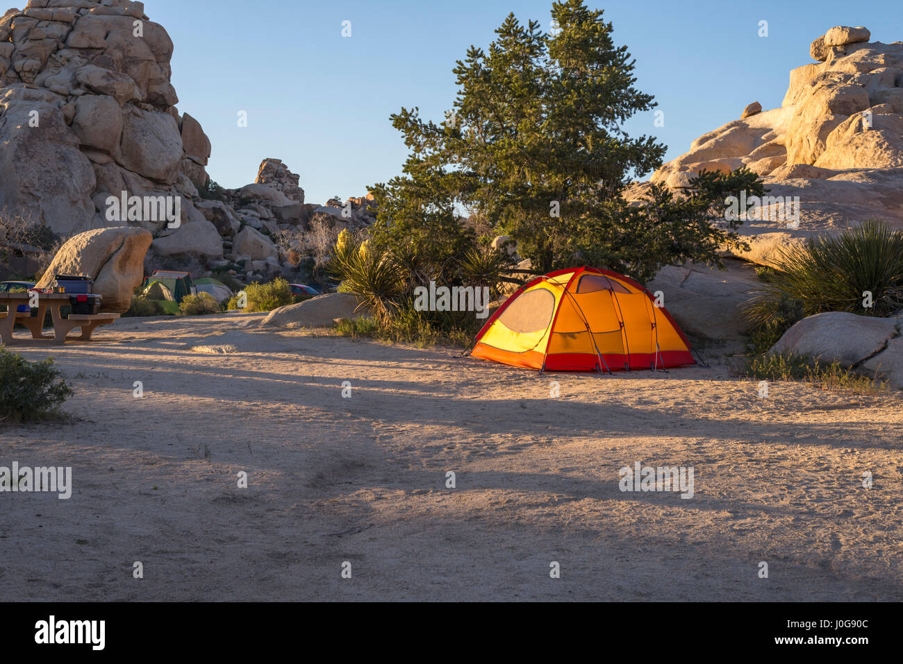 Camping tent at campground area. Joshua Tree National Park, California, USA. Stock Photo