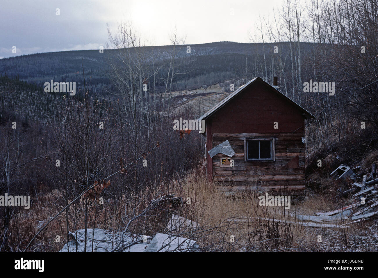 Gold Miners Bonanza Creek Log Cabins Dawson City Yukon Stock