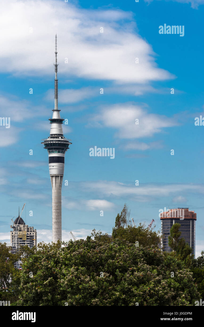 Auckland, New Zealand - March 1, 2017: From the higher lying Ponsonby Road, the Sky Tower can be seen clearly towering over the rest of the skyline. W Stock Photo
