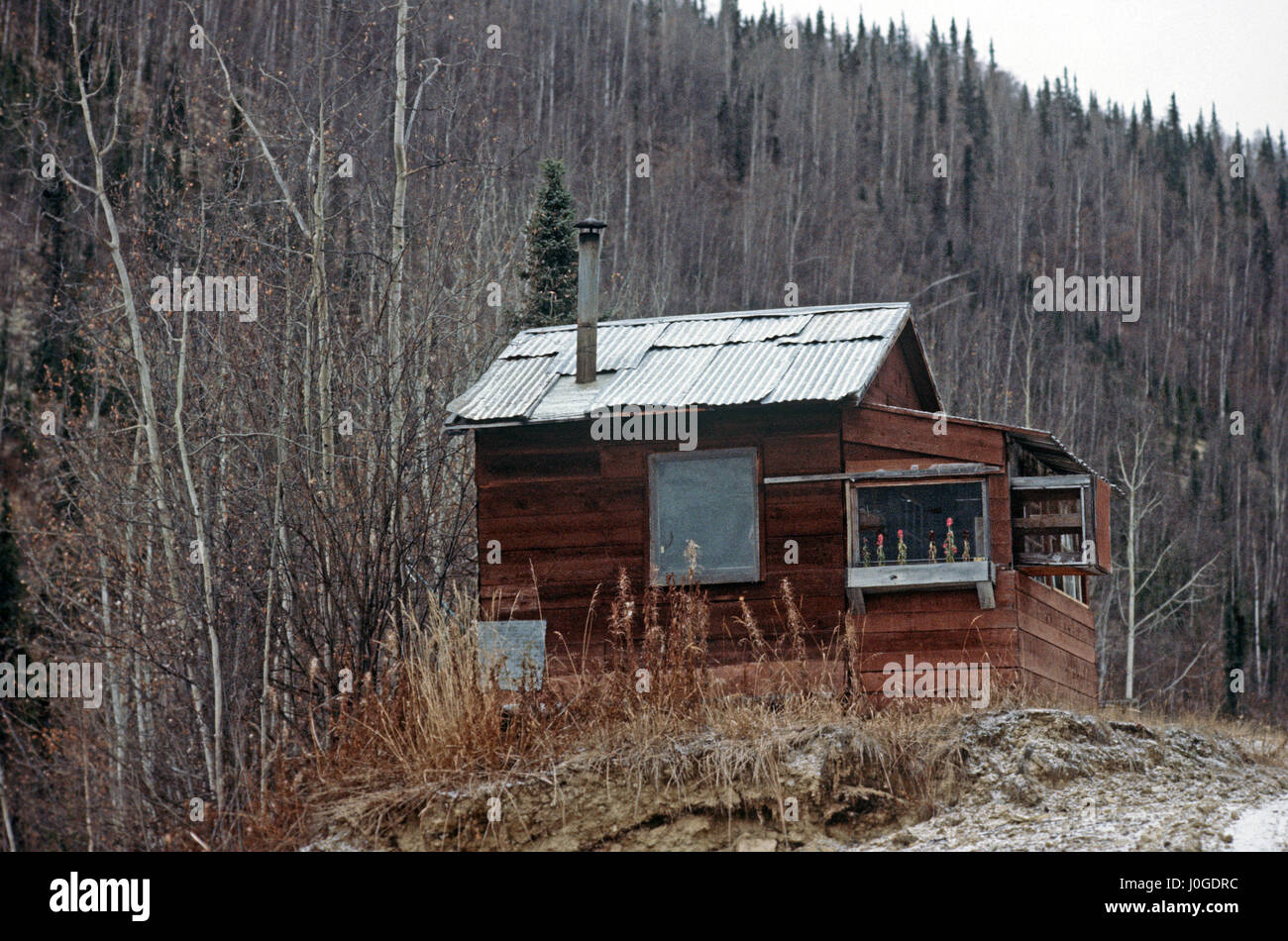 Gold Miners Bonanza Creek Log Cabins Dawson City Yukon Stock