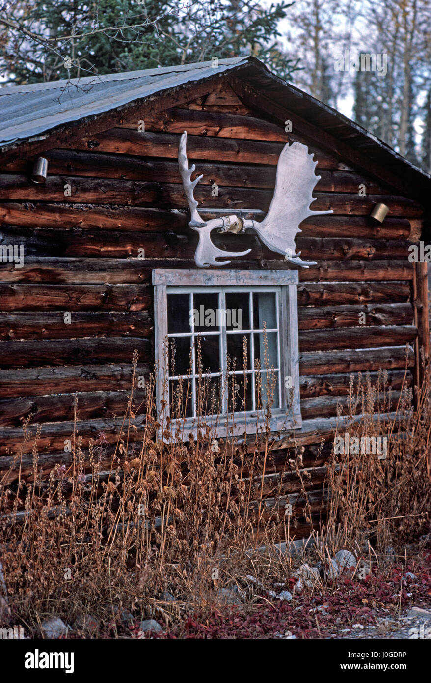 Gold Miners Bonanza Creek Log Cabins Dawson City Yukon Stock