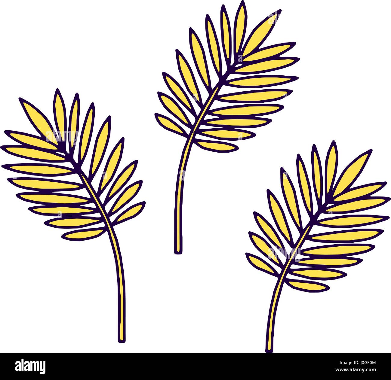 Vector tropical plants and leaves Stock Vector Image & Art - Alamy