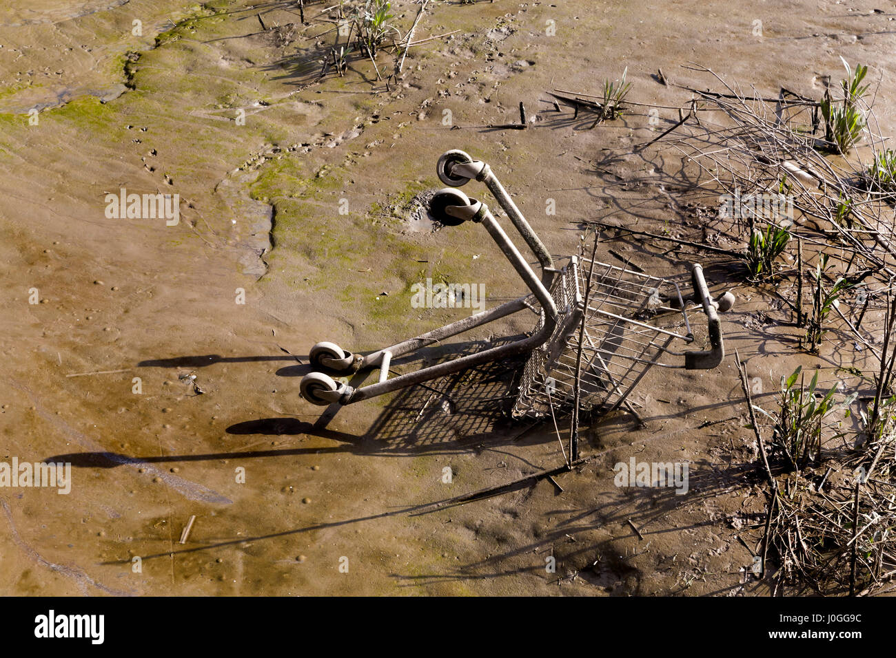 SUPERMARKET SHOPPING TROLLEY DUMPED IN A RIVER STUCK IN THE MUD Stock Photo