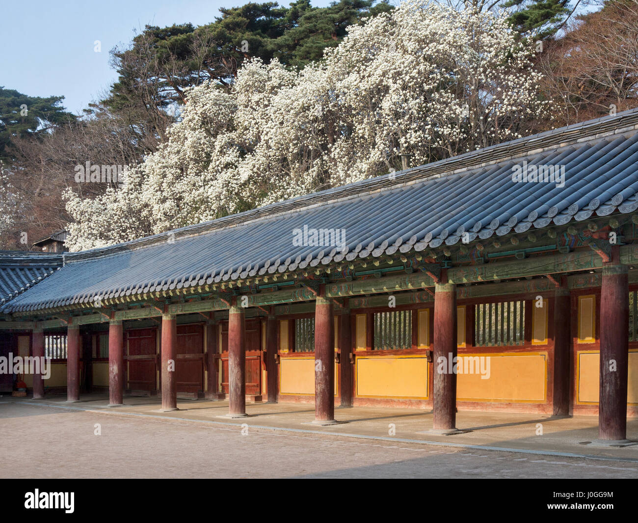 Bulguksa temple Gyeongju South Korea Stock Photo