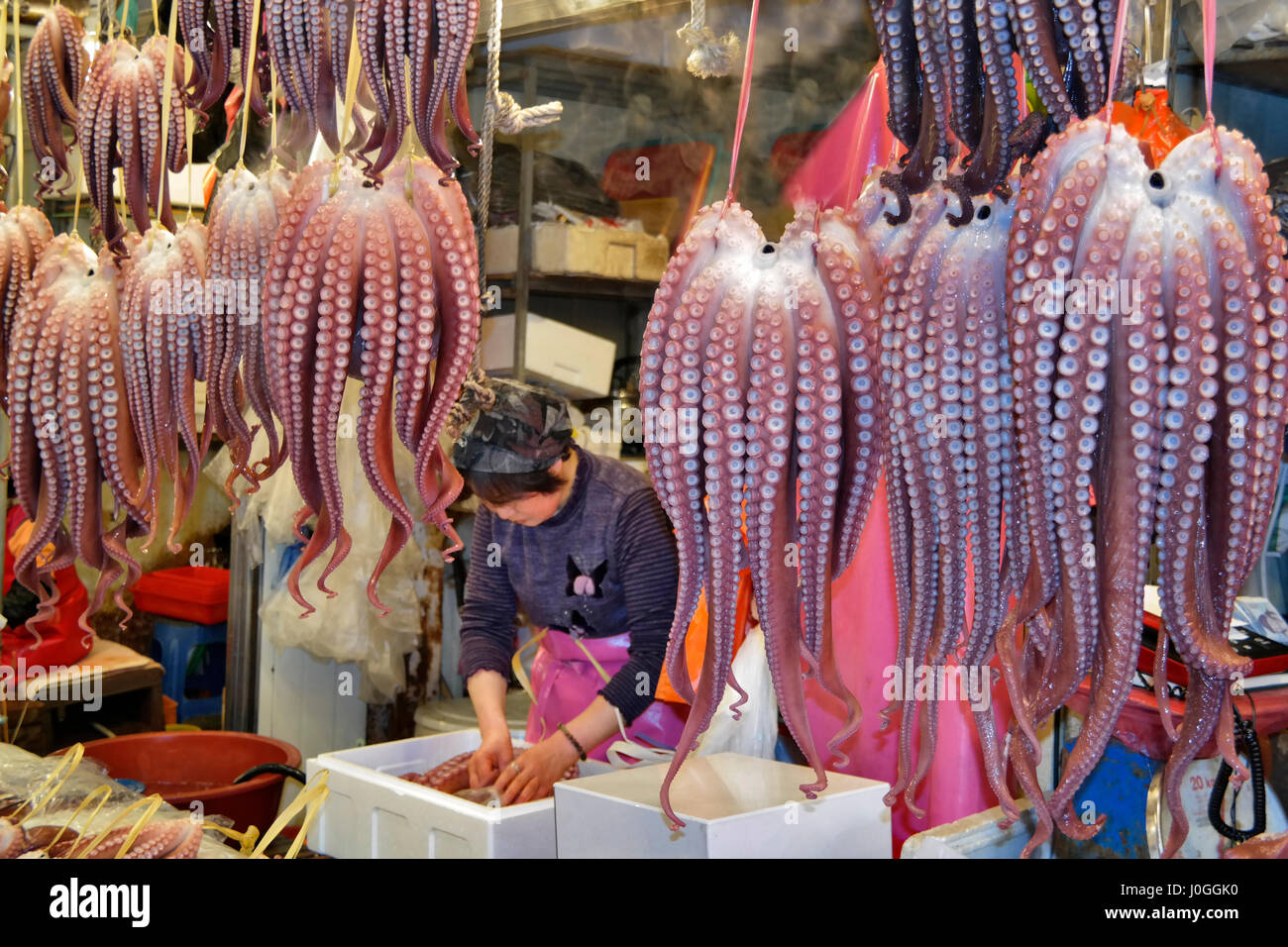 Gyeongju market Octopus stalls South Korea Stock Photo